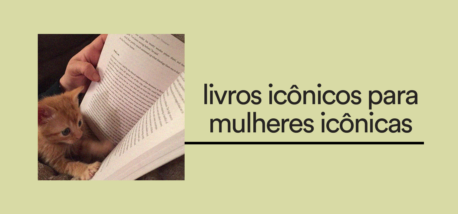 livros icônicos para mulheres icônicas