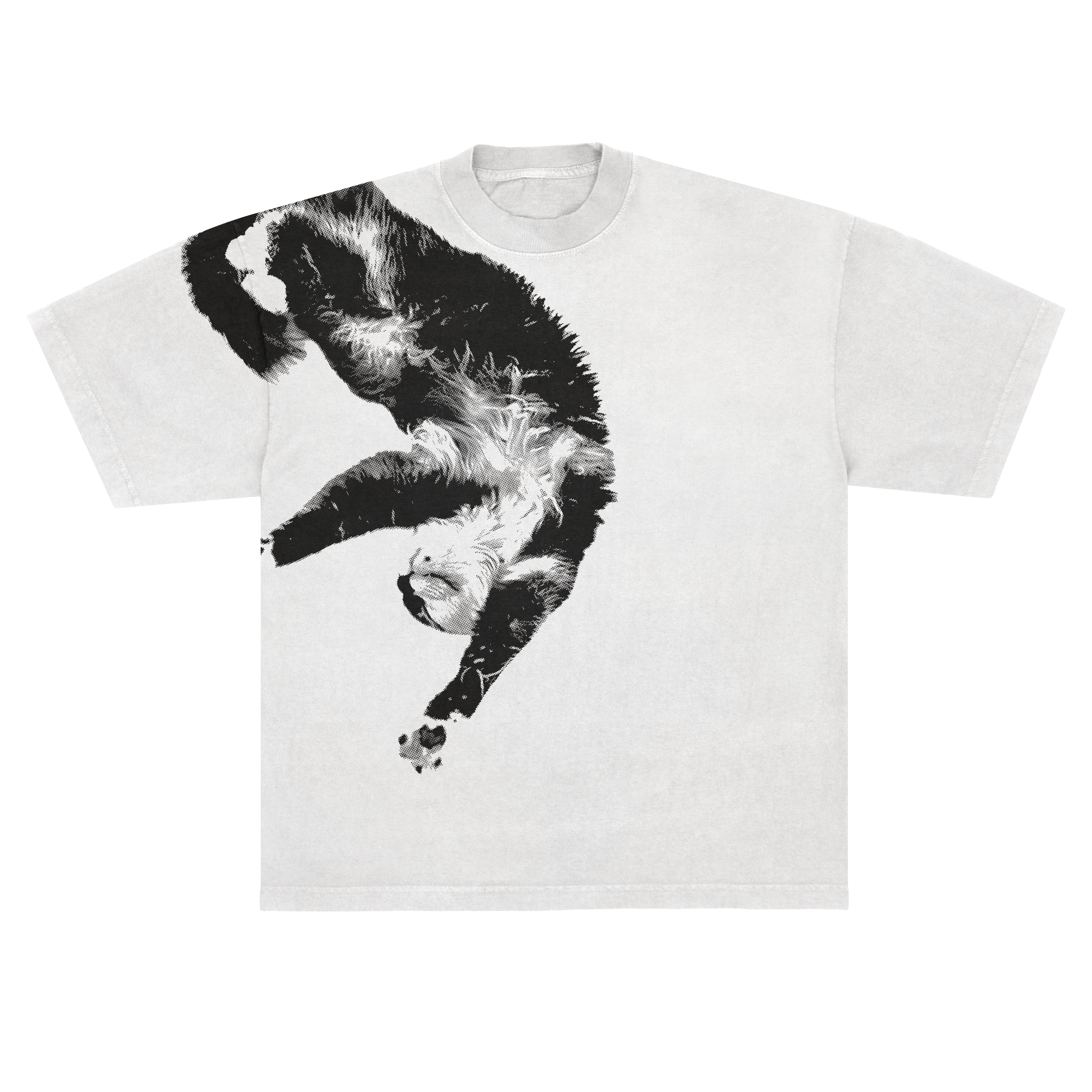 MOCKUP-gato2.png