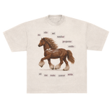camisetão correr atrás